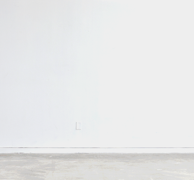 Build + Organize with Branch