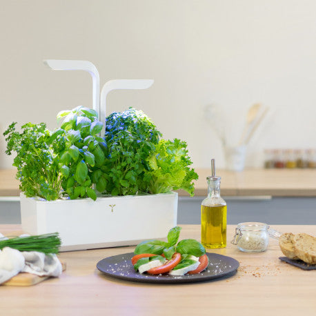 Veritable - Indoor gardens made in France