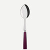 ICÔNE Serving Spoon - touchGOODS