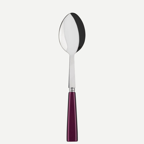 ICÔNE Serving Spoon - touchGOODS