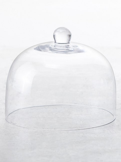 Jupiter Glass Dome - touchGOODS