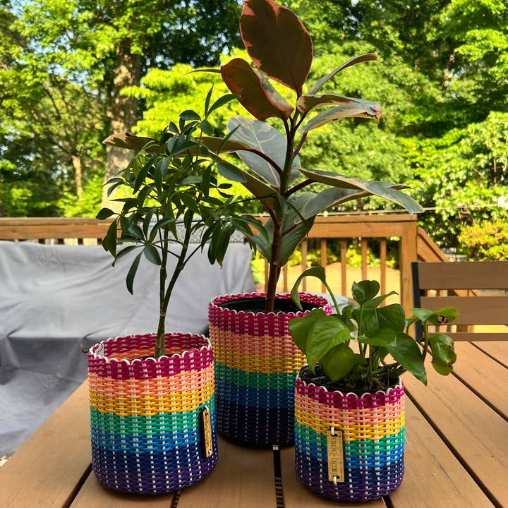 Boxi Planters ~ Multicolor - Set of 3 - touchGOODS