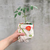 Tomato Dish Towel - touchGOODS