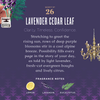 Lavender Cedar Leaf Countertop Spray with Vegetable Protein - touchGOODS