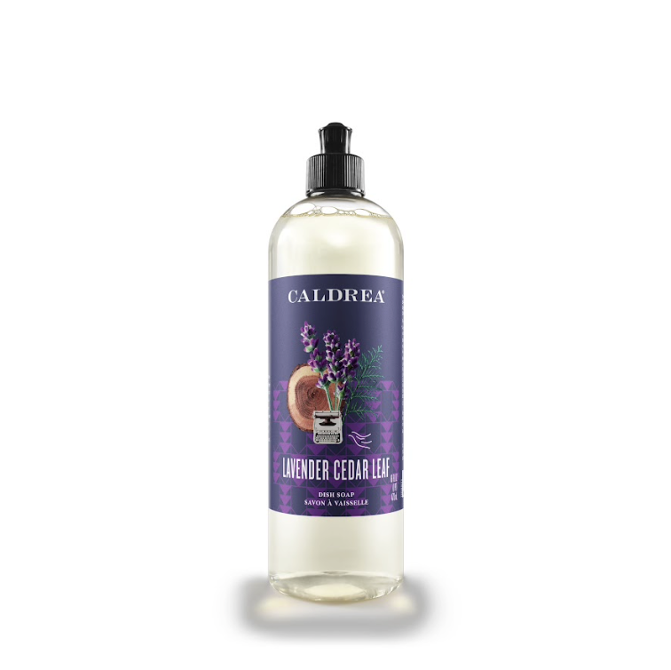 Lavender Cedar Leaf Dish Soap with Soap Bark & Aloe Vera - touchGOODS