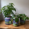 Boxi Planters ~ Multicolor - Set of 3 - touchGOODS