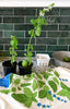 Basil Dish Towel - touchGOODS