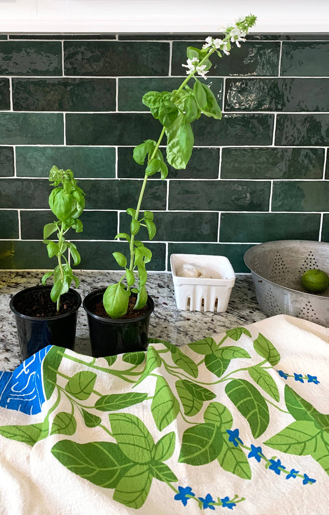 Basil Dish Towel - touchGOODS