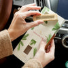 Frasier Fir Car Diffuser Kit - touchGOODS