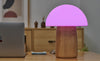 Alice Mushroom Lamp - touchGOODS