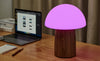 Alice Mushroom Lamp - touchGOODS