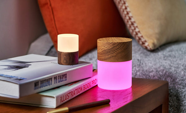 Large Lemelia Light - touchGOODS