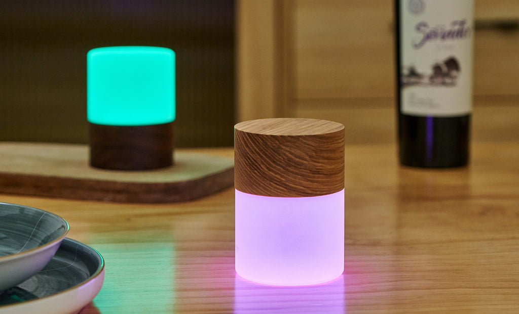 Large Lemelia Light - touchGOODS