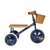 Retro Toddler Trike - touchGOODS