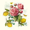 Citrons De Menton Romance Napkin - touchGOODS