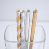 Paper Straws - 100 Ct - touchGOODS
