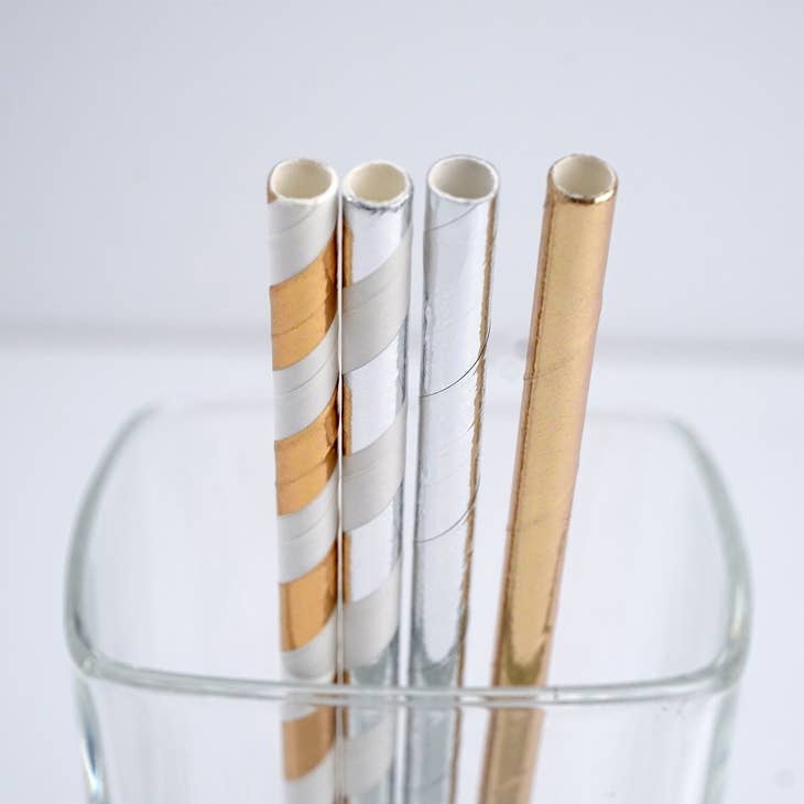 Paper Straws - 100 Ct - touchGOODS