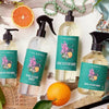 Orange Blossom Bamboo Dish Soap with Aloe & Orange Peel Oil - touchGOODS