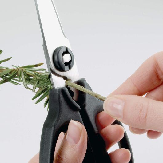 Kitchen And Herb Scissors - touchGOODS