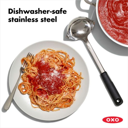 Stainless Steel Ladle - touchGOODS