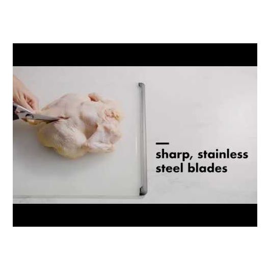Poultry Shears - touchGOODS