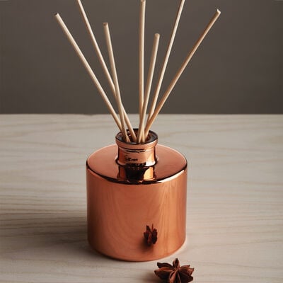 Simmered Cider Petite Diffuser - touchGOODS