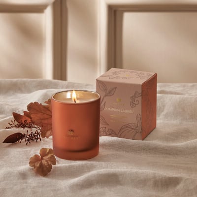 Pumpkin Laurel 6.5oz Candle - touchGOODS