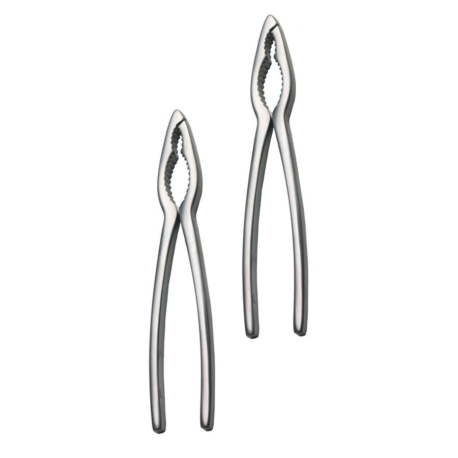 CRAB CRACKER SET OF 2 - touchGOODS