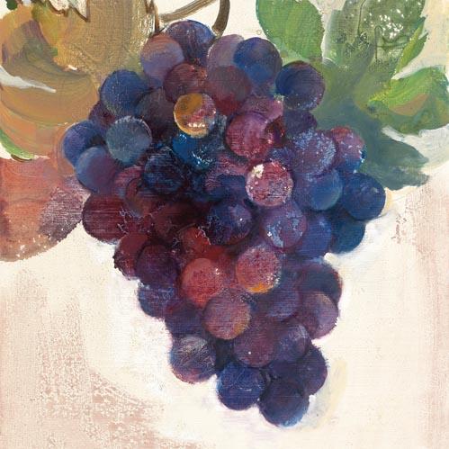 Wine Country Red Beverage Napkin - touchGOODS