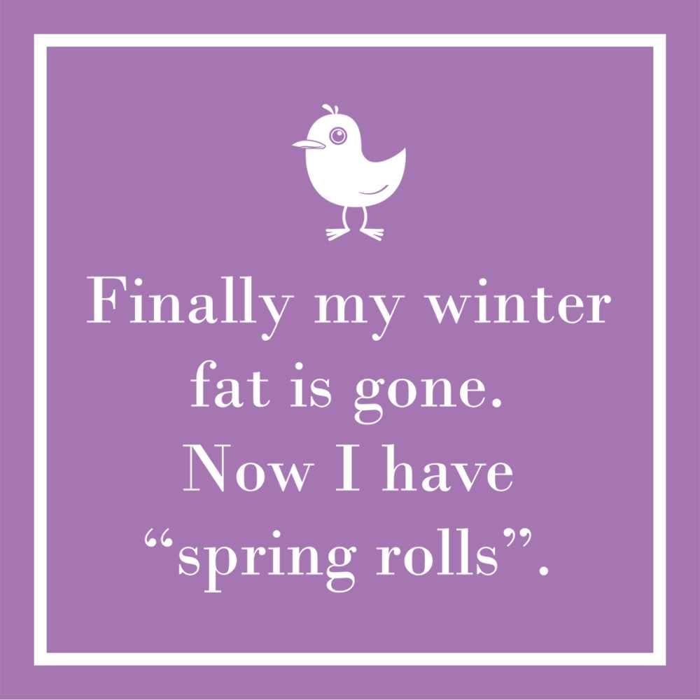 Spring Rolls Beverage Napkins - touchGOODS