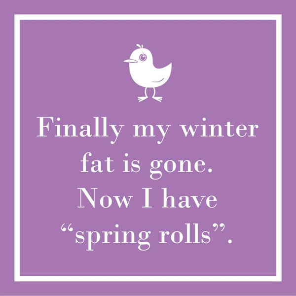 Spring Rolls Beverage Napkins - touchGOODS