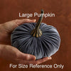 Assorted Velvet Pumpkins - touchGOODS