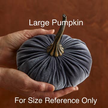 Assorted Velvet Pumpkins - touchGOODS