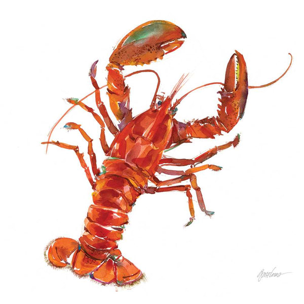 Bar Harbor Lunch Napkins - touchGOODS