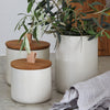 Pacifica Stoneware Canister with Oak Lid - touchGOODS