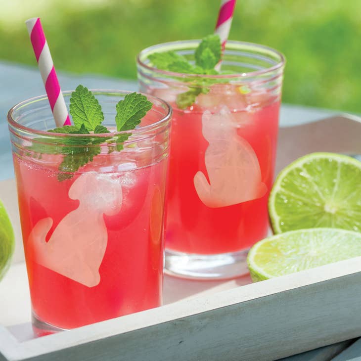 Perfect Dog Ice Cube Tray and Chocolate Mold - touchGOODS
