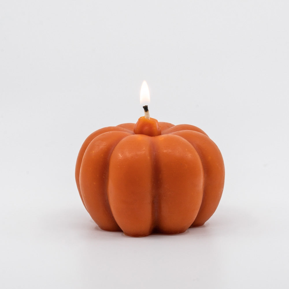 Beeswax Pumpkins - touchGOODS