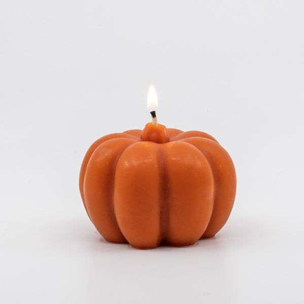 Beeswax Pumpkins - touchGOODS