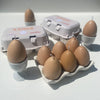 Egg Candles - 6 Pack Box - touchGOODS