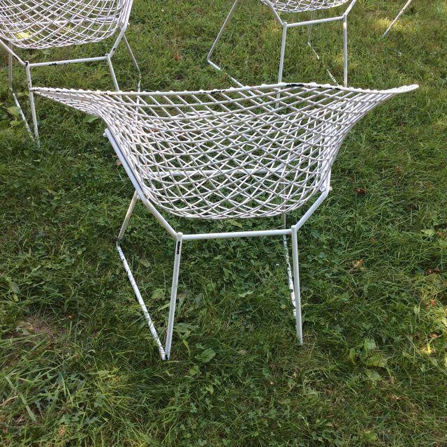 Vintage Harry Bertoia Diamond White Chairs - Set of 4 | touchGOODS