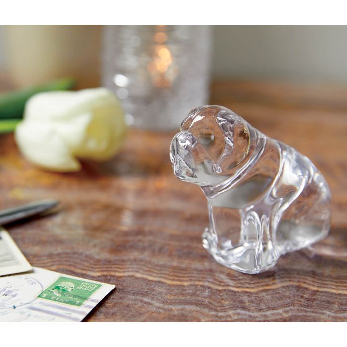 Derby Dog in Gift Box - touchGOODS