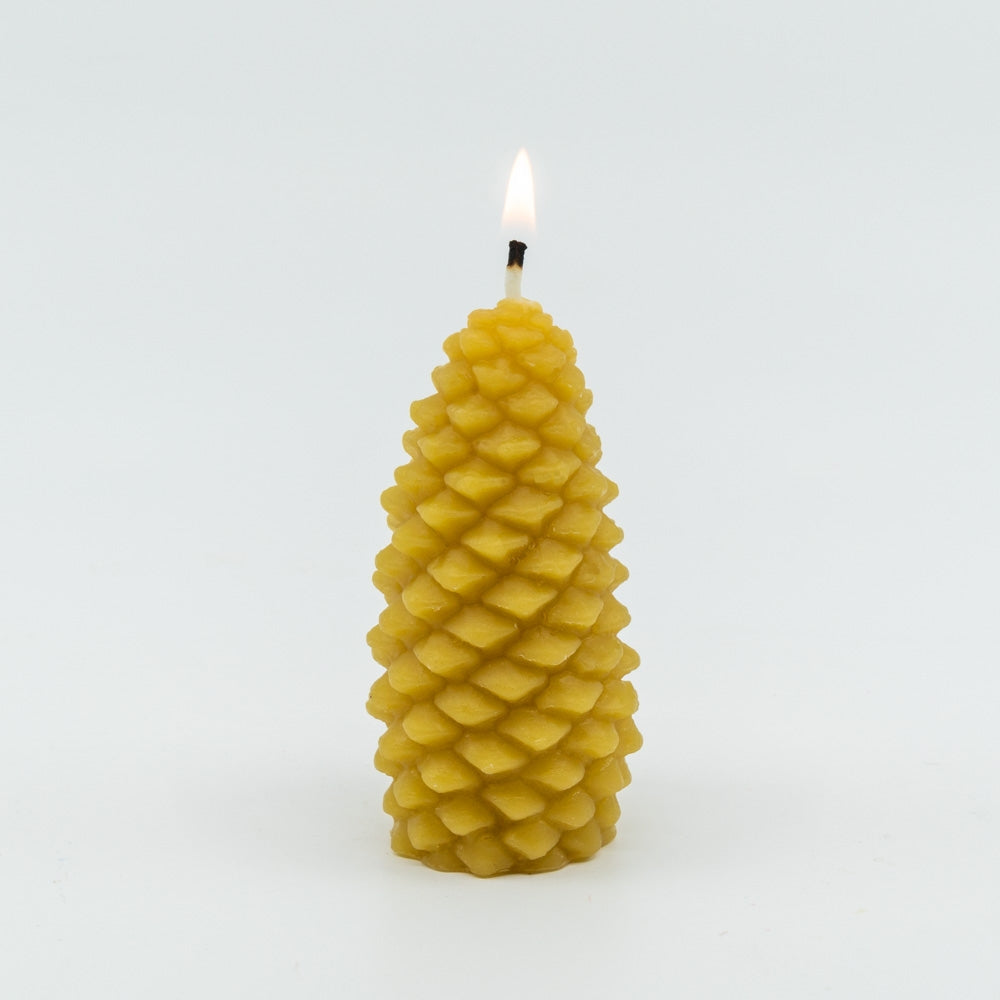 Beeswax Pine Cones - touchGOODS
