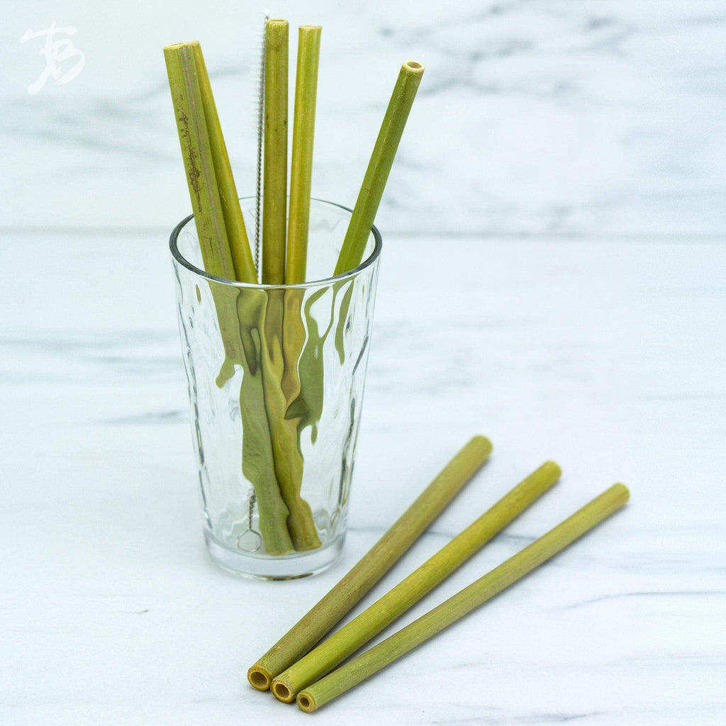 8-Pack Reusable Bamboo Drinking Straws, Dishwasher Safe - touchGOODS