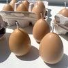 Egg Candles - 6 Pack Box - touchGOODS