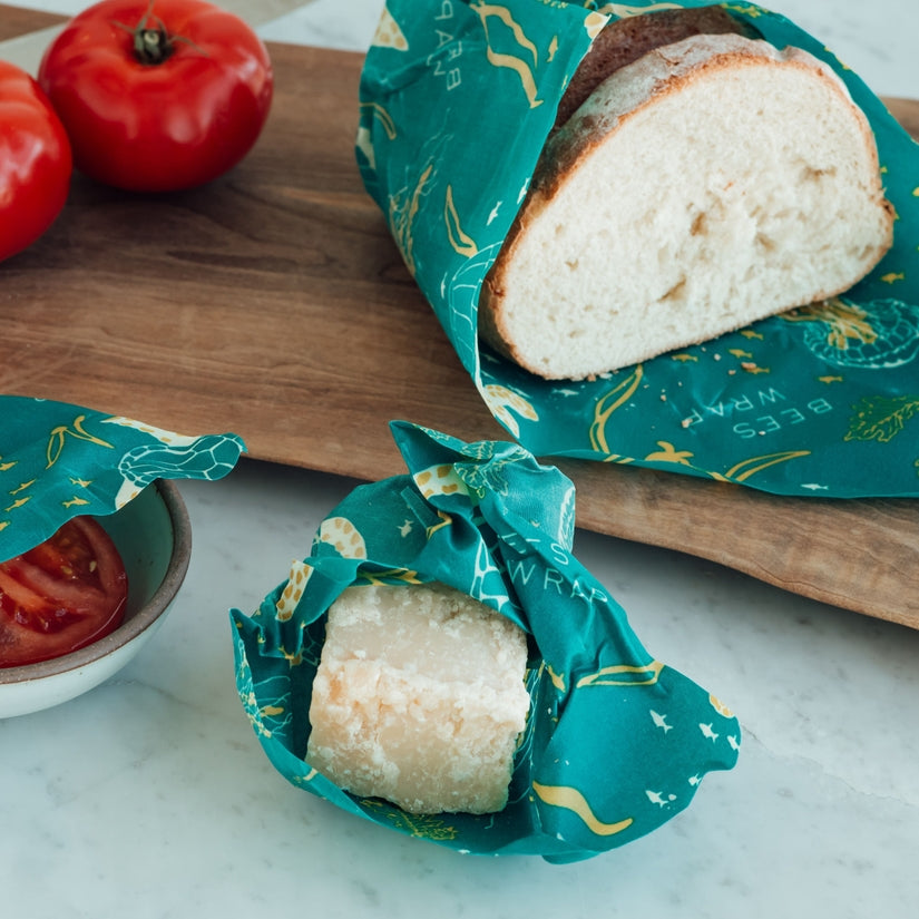 Oceans Print Food Wrap - Pack of 3 Assorted Sizes - touchGOODS