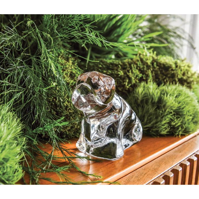 Derby Dog in Gift Box - touchGOODS