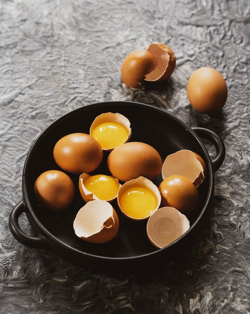 Stoneware Dinner Plate With Handles 7.9" - touchGOODS