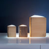 Natural Wood Smart Book Light - touchGOODS