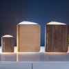 Natural Wood Smart Book Light - touchGOODS
