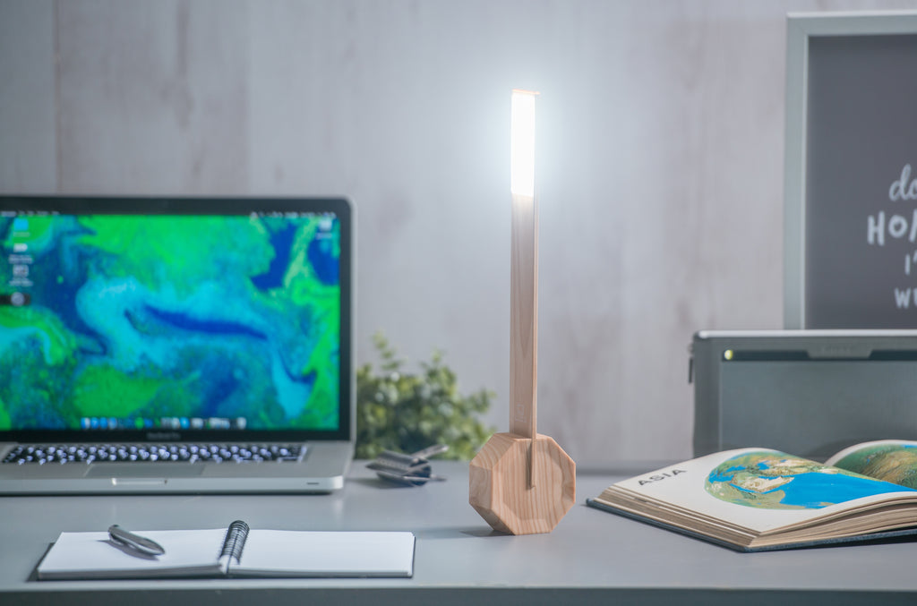 Octagon One Desk Lamp - touchGOODS